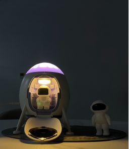 PROJECTEUR LANDER BLUETOOTH