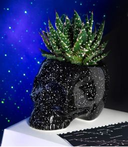 POT CRÂNE GALAXIE