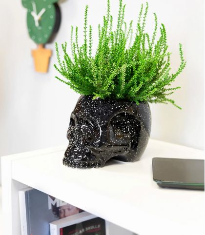 POT CRÂNE GALAXIE