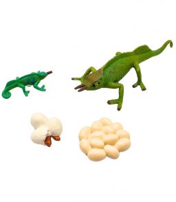 FIGURINES CYCLE DE VIE DU CAMELEON