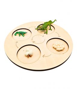 FIGURINES CYCLE DE VIE DU CAMELEON