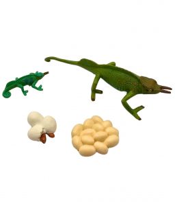 FIGURINES CYCLE DE VIE DU CAMELEON
