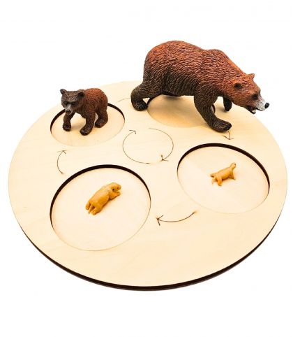 FIGURINES CYCLE DE VIE DE L'OURS BRUN