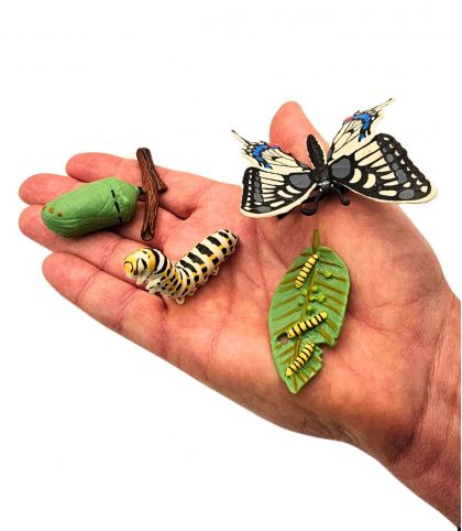 FIGURINES CYCLE DE VIE DU PAPILLON