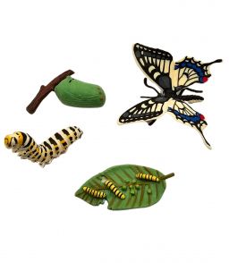 FIGURINES CYCLE DE VIE DU PAPILLON