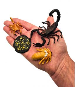 FIGURINES CYCLE DE VIE DU SCORPION