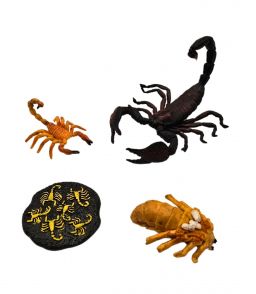 FIGURINES CYCLE DE VIE DU SCORPION