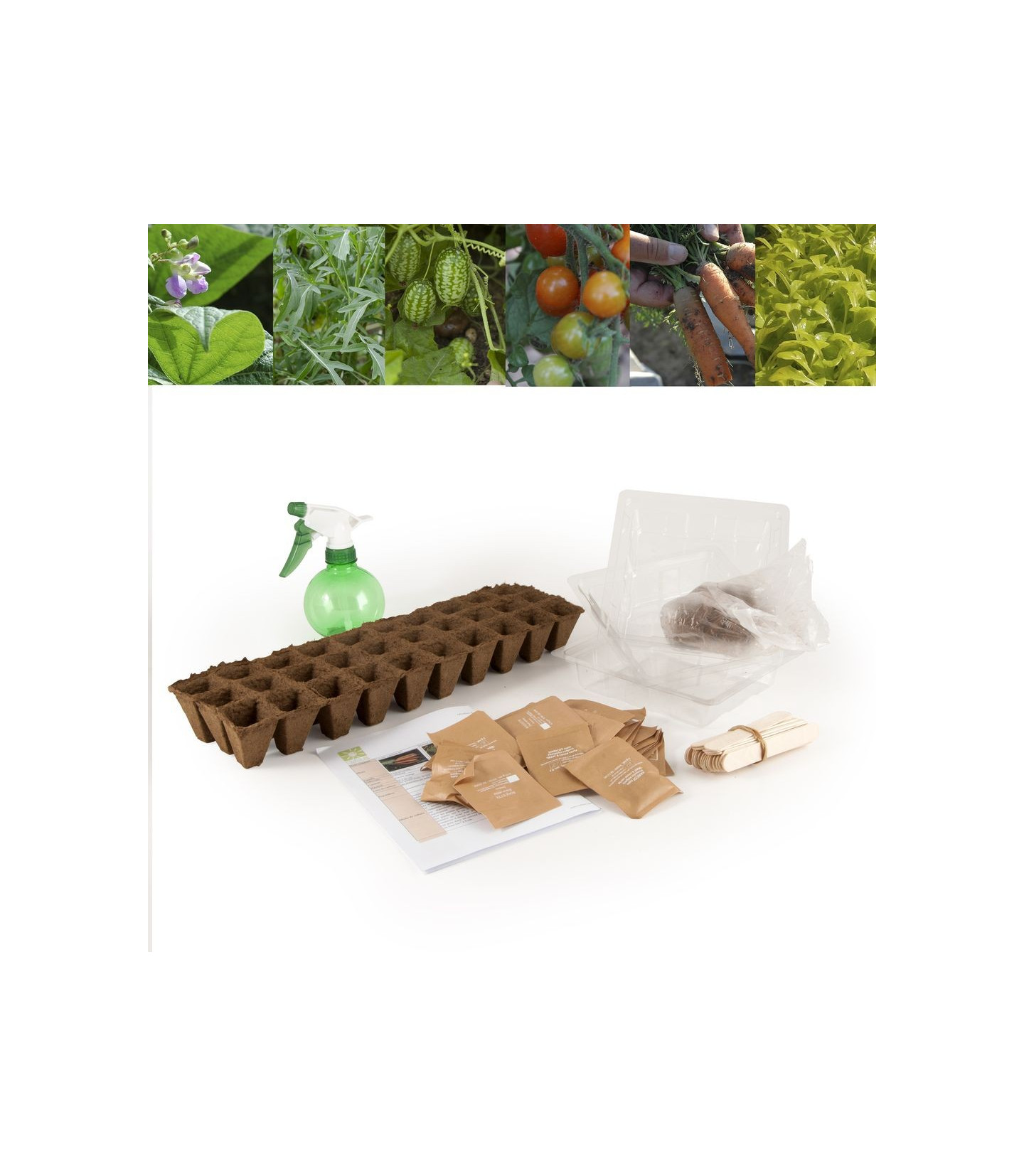 Le kit légumes insolites pour enfants - Jeux d'extérieur/Jardiner