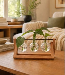 VASE HYDROPONIQUE DESIGN A TRIPLE SPHERE EN VERRE ET SUPPORT BOIS