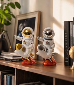 ASTRONAUTE ASSIS SUR SA FUSEE
