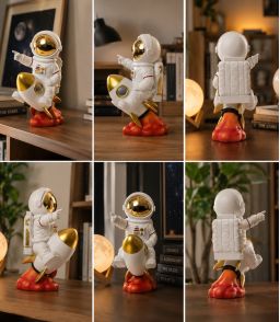 ASTRONAUTE ASSIS SUR SA FUSEE