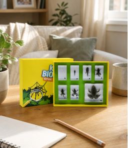 COFFRET CYCLE DE VIE DE LA GRENOUILLE