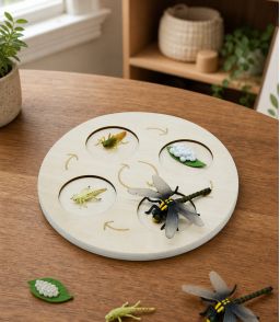 PLATEAU EN BOIS 4 OU 5 STADES POUR FIGURINES CYCLE DE VIE