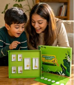 COFFRET CYCLE DE VIE D'UNE PLANTE : LE MAÏS