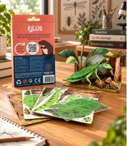 CARTE PUZZLE 3D - PHASME FEUILLE