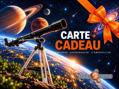 La carte cadeau