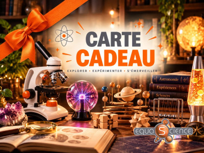 La carte cadeau