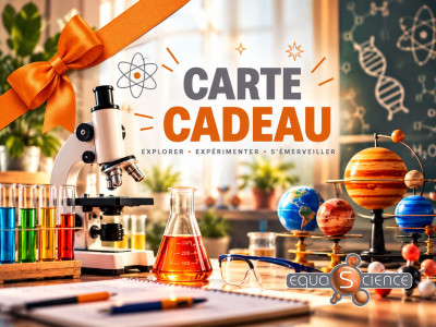 La carte cadeau