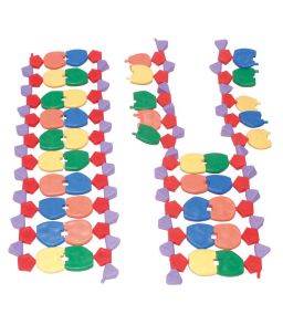 MODELE MOLECULAIRE ADN 22 PAIRES DE BASES