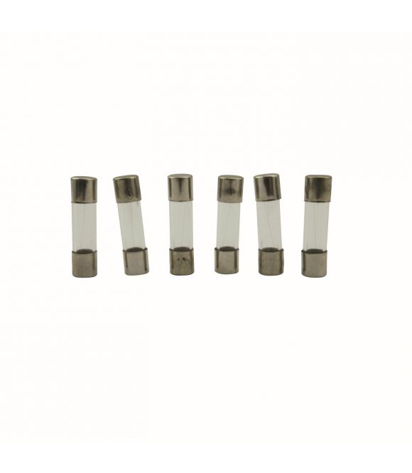 LOT DE 10 FUSIBLES TEMPORISES Ø5X20MM