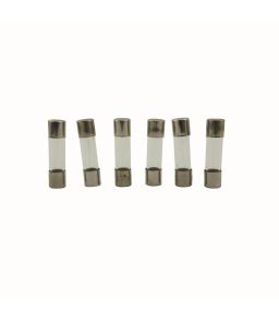 LOT DE 10 FUSIBLES TEMPORISES Ø5X20MM