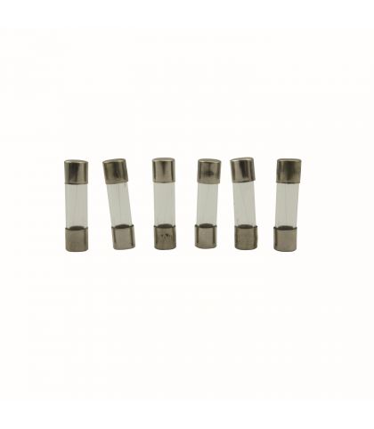 LOT DE 10 FUSIBLES TEMPORISES Ø5X20MM