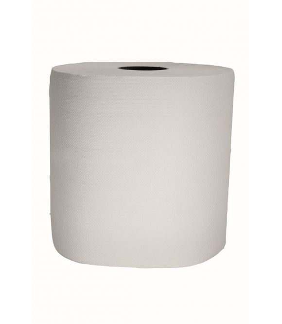 BOBINE BLANCHE 1000 FORMATS 2 PLIS 19.4X30 CM / LOT 2