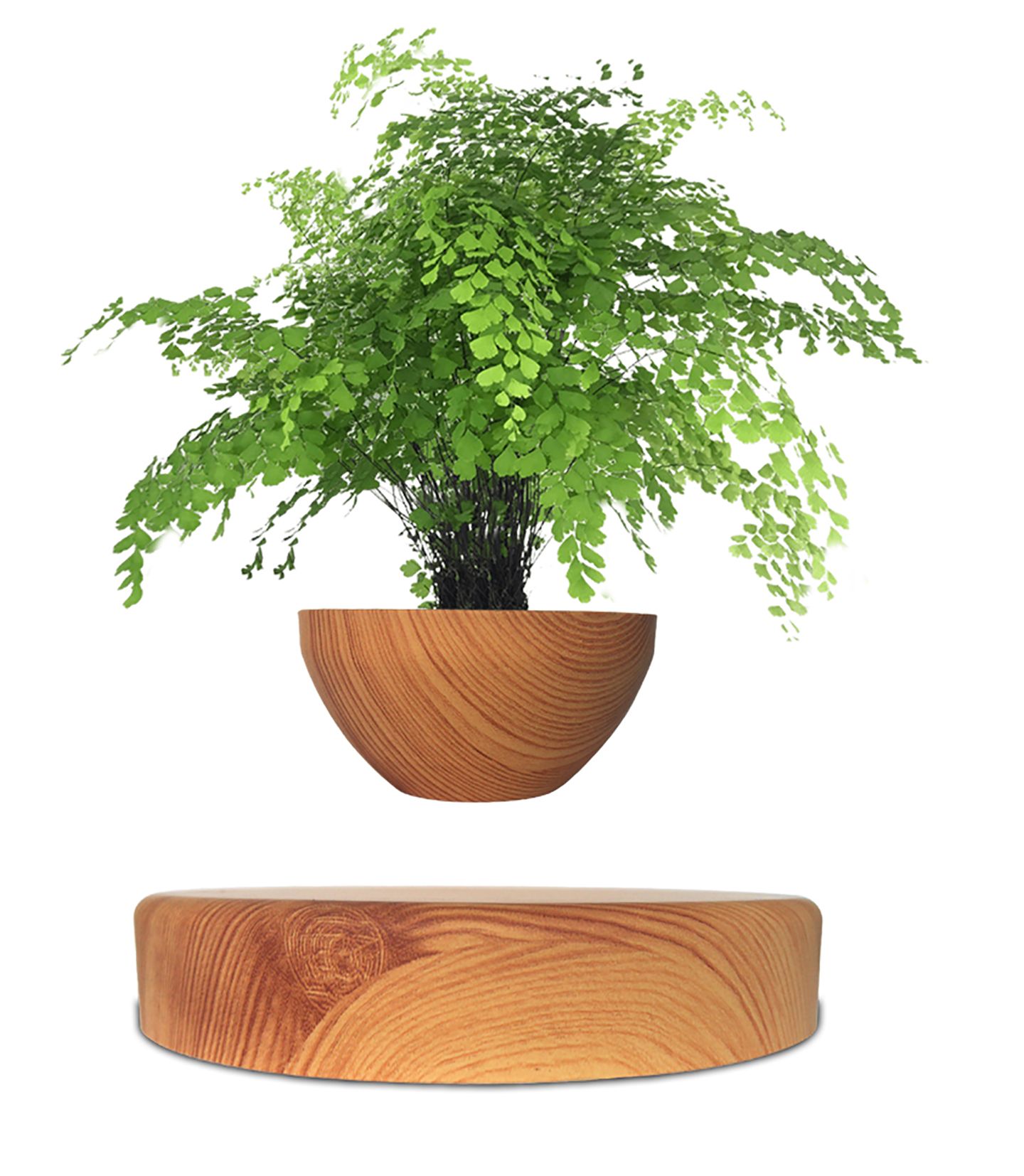 https://www.equascience.com/6332-product_hd/mini-jardin-en-levitation-babylonia.jpg