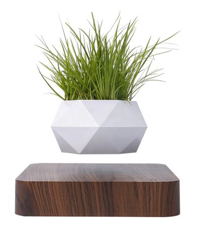 MINI JARDIN EN LEVITATION BABYLONIA DELUXE