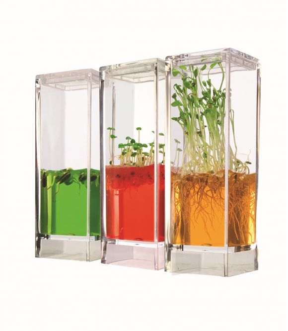 KIT PLANTARIUM AVEC GEL