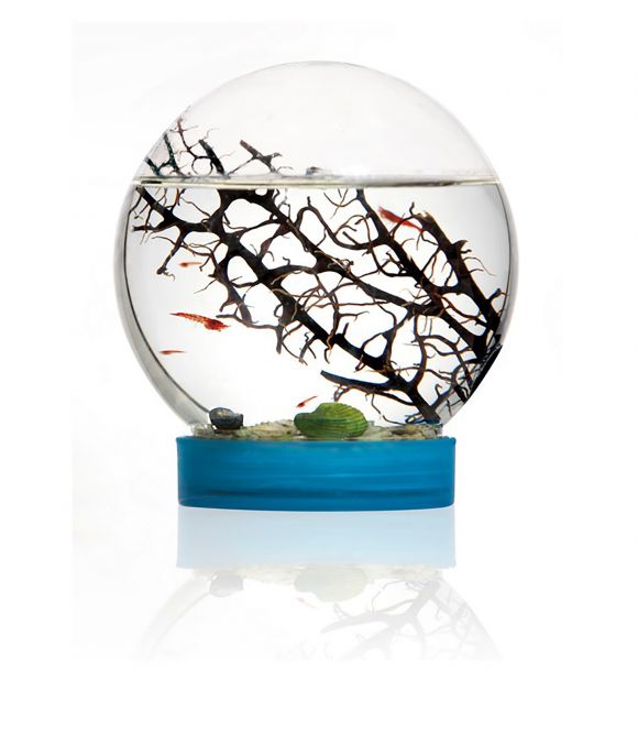 BIOSPHERE E'VIVO