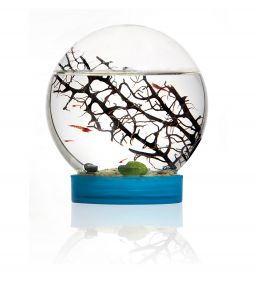 BIOSPHERE E'VIVO