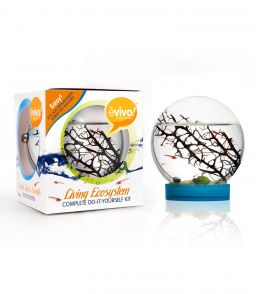 BIOSPHERE E'VIVO