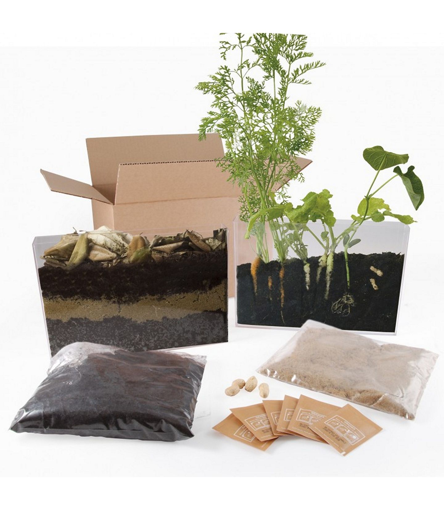 KIT D'OBSERVATION RACINES ET LOMBRICS / RHIZOTRON - 2 VIVARIUMS