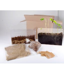 KIT D'OBSERVATION RACINES ET LOMBRICS - 2 VIVARIUMS