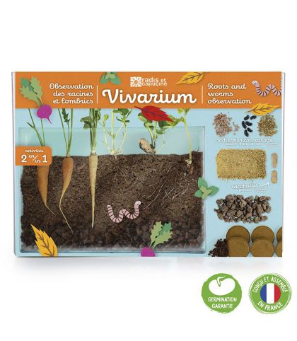 VIVARIUM RACINES ET LOMBRICS