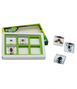 COFFRET INCLUSIONS LES ARTHROPODES