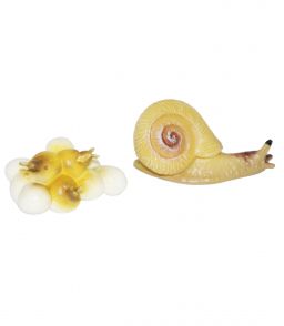 Figurine escargot