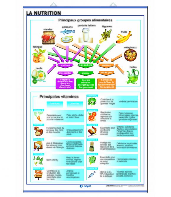 PLANCHE MURALE NUTRITION/CORPS HUMAIN 70X100CM 