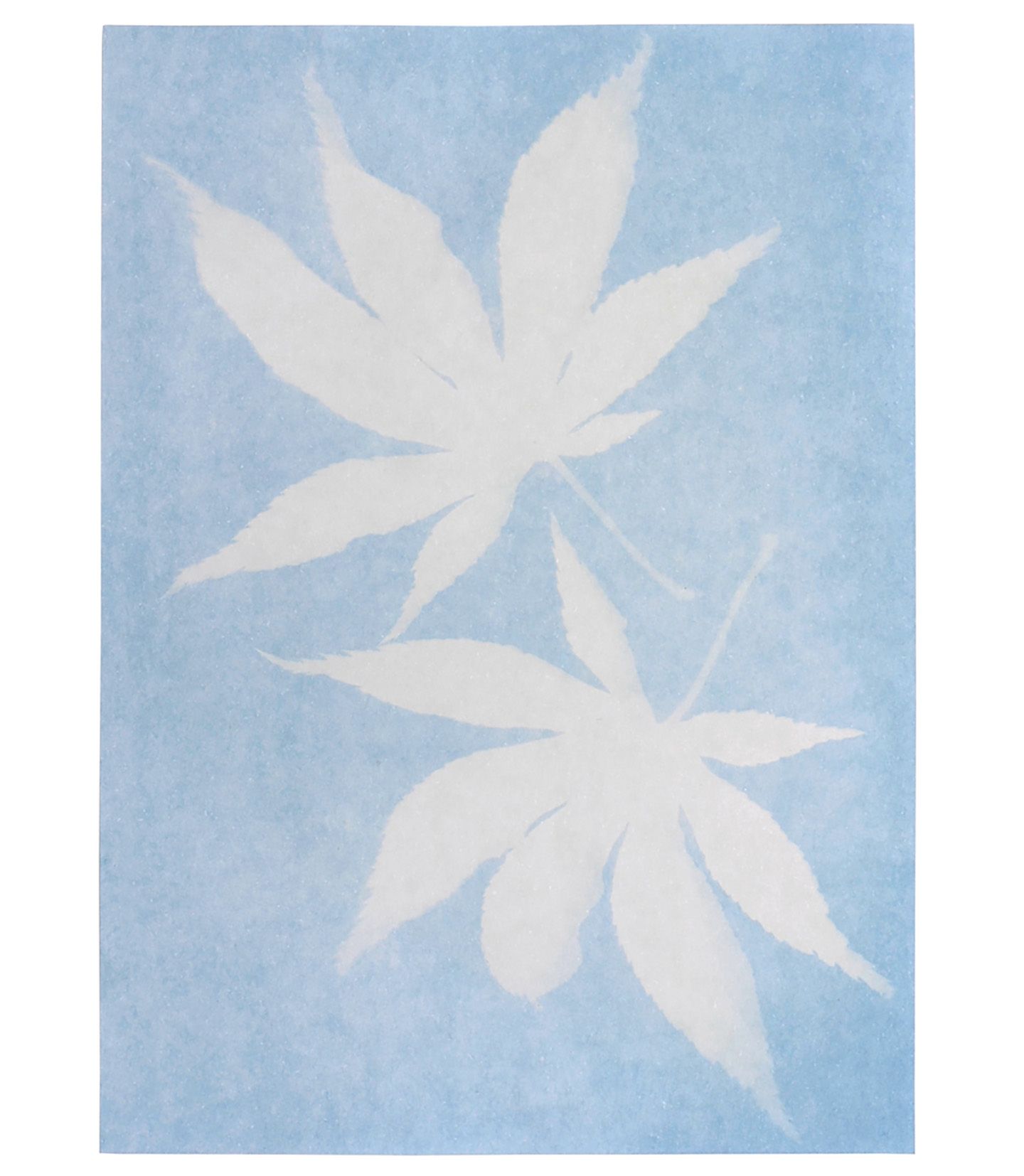 Papier Cyanotype, Kit de Papier D'Impression Solaire 32 PièCes A5 Papier à Dessin  Solaire avec Feuille Acrylique Haute Sensibilité - Cdiscount Jeux - Jouets