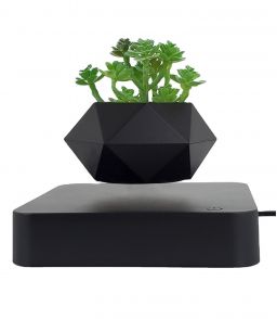 MINI JARDIN HEXAFLY NORDIC NOIR EN LEVITATION