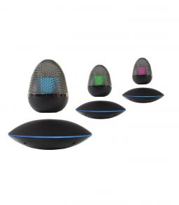 ENCEINTE EN LEVITATION