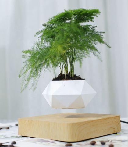 MINI JARDIN EN LEVITATION HEXAFLY BASE BOIS