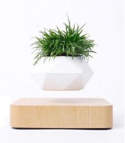 MINI JARDIN EN LEVITATION HEXAFLY BASE BOIS