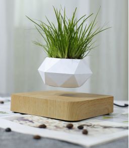 MINI JARDIN EN LEVITATION HEXAFLY BASE BOIS