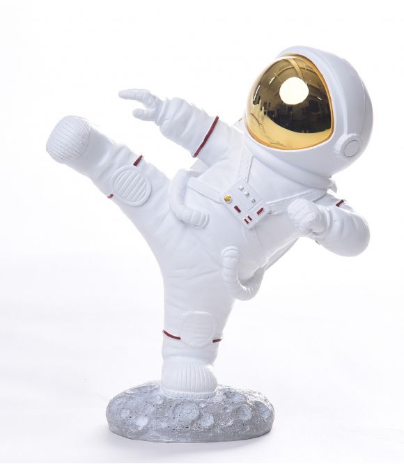 ASTRONAUTE KARATEKA OR