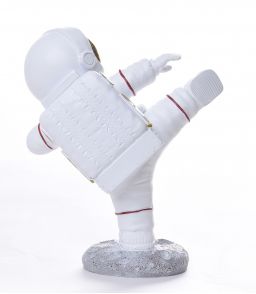 ASTRONAUTE KARATEKA OR