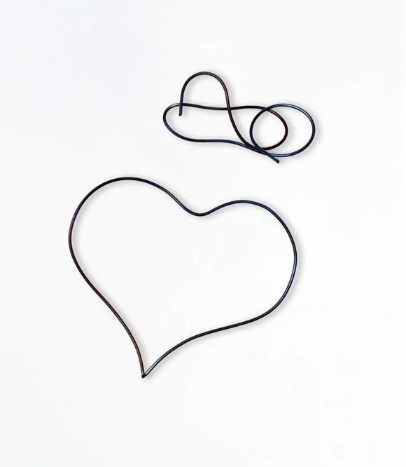 COEUR EN NITINOL