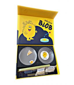 COFFRET "LA BLOB BOX"