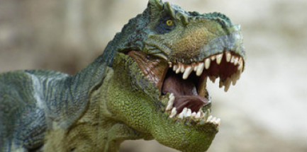 Dinosaures & fossiles